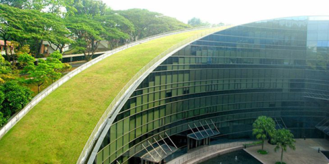 Lima promueve las edificaciones sostenibles y espacios verdes mediante una Ordenanza en Miraflores