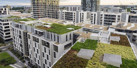 Nace la iniciativa Terrats Verds para promover las cubiertas verdes con huerto urbano en Barcelona