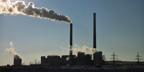 El Gobierno aprueba una línea de financiación de 50 millones para proyectos de lucha contra el cambio climático