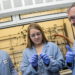 Investigadores de Berkeley Lab en EE.UU. fabrican un plástico que puede potenciar la economía circular