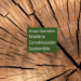El proyecto de Madera Construcción Sostenible trabaja para fomentar su uso en la construcción