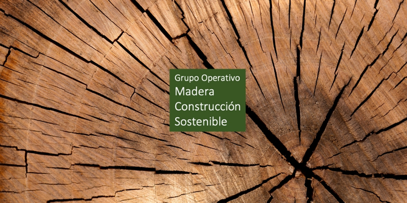 Madera Construcción Sostenible comenzó su trabajo en agosto de 2018, e inicia ahora un nuevo proyecto.