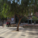 La regeneración del barrio El Rancho de Morón de la Frontera en Sevilla entra en la tercera fase