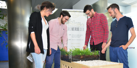 Arquitectos de la UPCT crean el proyecto empresarial Reverdecer para promover las cubiertas vegetales