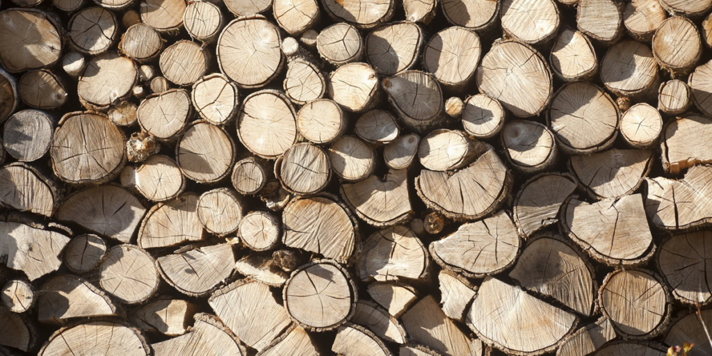troncos de madera
