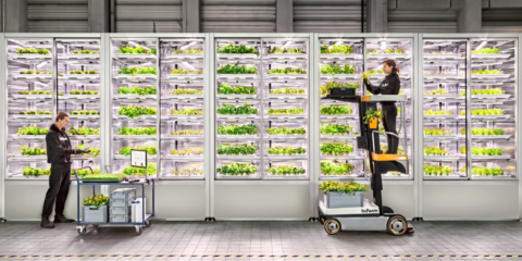 La compañía de agricultura vertical sostenible Infarm recauda 88 millones de euros en una ronda de financiación