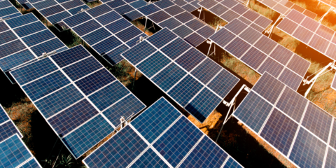 Primeros bonos sostenibles de una entidad privada en Colombia para proyectos ambientales y sociales