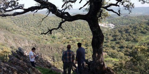Talleres técnicos sobre el cálculo de beneficios de los bosques españoles al ecosistema