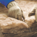La compañía Knauf Insulation da a conocer toda la gama de aislamiento sostenible de lana mineral