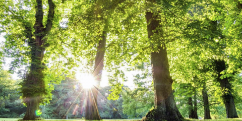 Nuevas ayudas en la Comunidad Valenciana para iniciativas de economía circular e innovación medioambiental