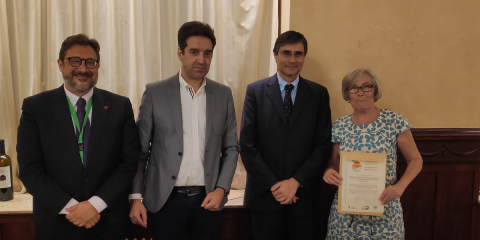 Investigadores de la UMH desarrollan un composite de caña común como material aislante para edificios