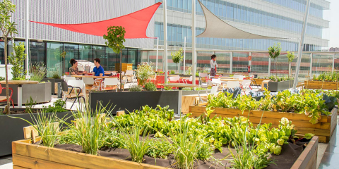 Certificación LEED Gold para la sede madrileña de Mahou San Miguel en la categoría Edificio Existente