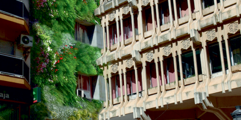La fachada lateral del Ayuntamiento de Ciudad Real contará con un jardín vertical como aislante natural