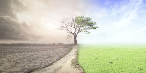 El Parlamento Europeo declara la emergencia climática y ambiental a nivel global