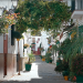 El proyecto de remodelación ‘Estepona, Jardín de la Costa del Sol’ obtiene el Premio Andalucía de Urbanismo