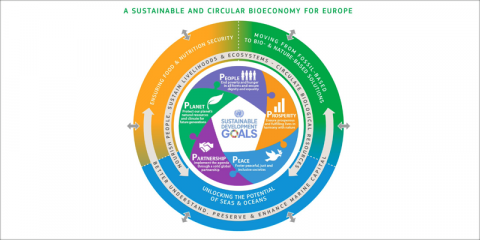 La Comisión Europea y el BEI lanzan un nuevo fondo para financiar empresas y proyectos de bioeconomía circular