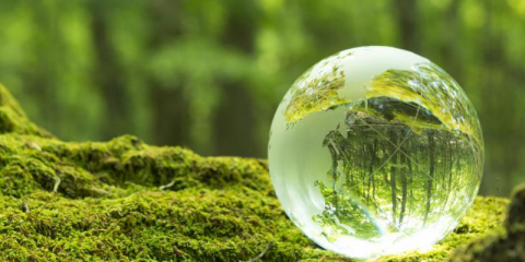 Diez países presentarán sus acciones para el cumplimiento de sus objetivos climáticos 2020 durante la COP25