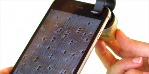 El Ministerio para la Transición Ecológica crea un sistema para detectar el tráfico ilegal de madera protegida