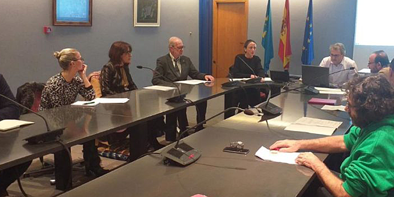 La consejera de Derechos Sociales y Bienestar, Melania Álvarez, en la reunión del Consejo Autonómico de Vivienda.