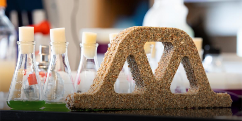 La Universidad de Colorado Boulder investiga materiales de construcción sostenibles manteniendo vivas las bacterias