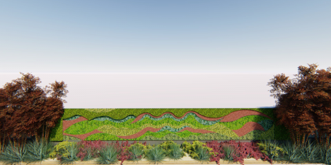 Cartagena instalará un jardín vertical en un muro, como inicio de su senda hacia una ciudad más verde