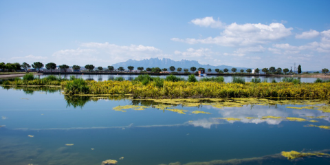 El centro tecnológico Eurecat crea un Área de Sostenibilidad enfocada en economía circular y cambio climático