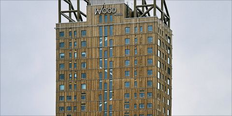 El uso masivo de la madera en la construcción ayudaría a mitigar el cambio climático, según un estudio de Yale