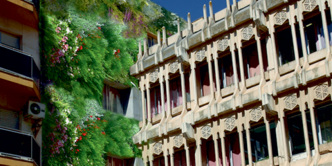 Luz verde al expediente de contratación para las obras del jardín vertical en el Ayuntamiento de Ciudad Real