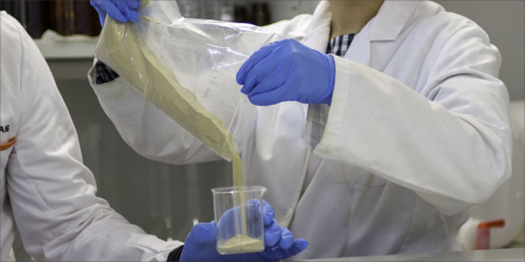 El proyecto Biofuego desarrolla nuevos aditivos a partir de recursos renovables con aplicación a la construcción