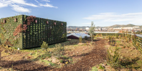 Barcelona convoca el segundo Concurso de Cubiertas Verdes para fomentar su implantación en edificios residenciales