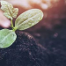 Sika se une a ‘Together for Sustainability’ para mejorar las prácticas sostenibles en la cadena de suministro