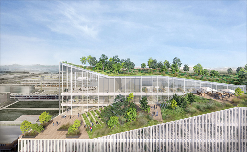 Cubiertas verdes del futuro edificio del Campus Human Technopole.