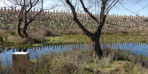 GBCe, UPM y Ecoacsa incorporarán el diseño orientado a la mejora de la biodiversidad para una edificación sostenible
