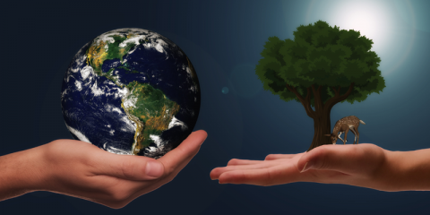 El Miteco refuerza su estructura política en energía, medio ambiente y economía circular