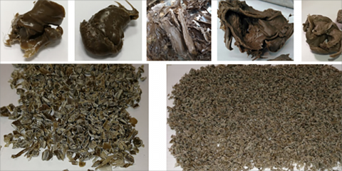 La UCA investiga el uso de residuos de la remolacha como sustituto del plástico