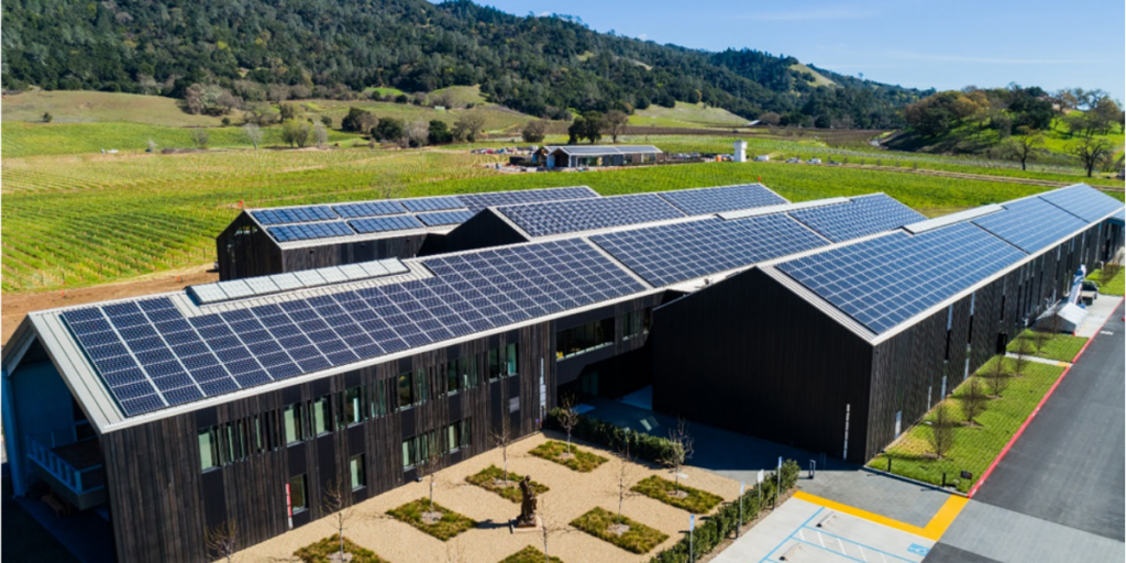Innovación y sostenibilidad en las bodegas de vino ecológicas de Silver Oak en California