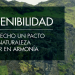 Danosa cuida del medioambiente