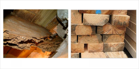 El proyecto WALL4WOOD mejorará la protección y estabilidad de la madera