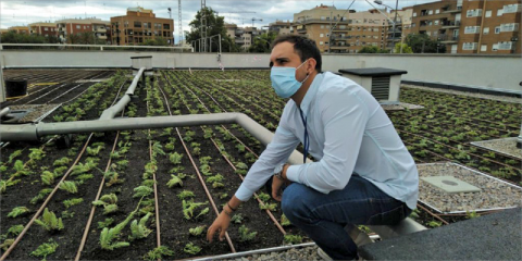 Cubierta verde como solución medioambiental en un centro de mayores valenciano