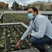Cubierta verde como solución medioambiental en un centro de mayores valenciano