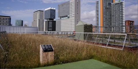 El Museo de Ciencias Naturales de Barcelona instala una cubierta con vegetación autóctona