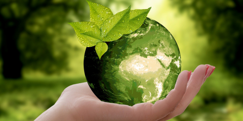 Nuevo seguro de eficiencia energética que garantiza el ahorro y favorece la financiación