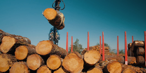 ChainWood, tecnología blockchain para una gestión más eficiente de la madera