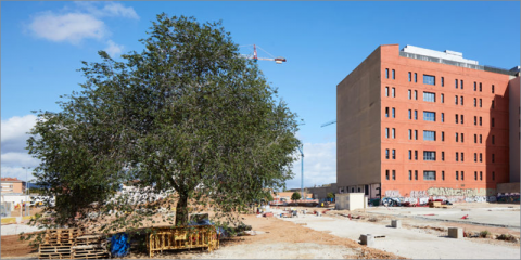 Barcelona convoca la licitación de proyectos para construir viviendas industrializadas