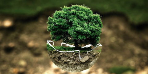 La CE lanza una hoja de ruta para alcanzar contaminación cero del aire, agua y suelo