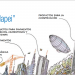 Catálogo de productos de Mapei
