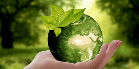 MarketPlace CircularLabs, la plataforma virtual de economía circular del noroeste peninsular