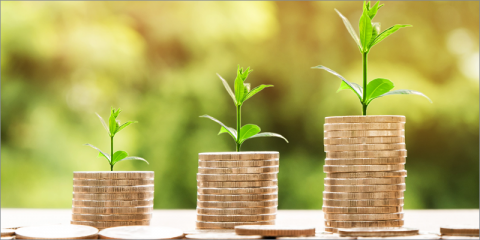 El presupuesto del Miteco impulsará la eficiencia energética y la economía circular