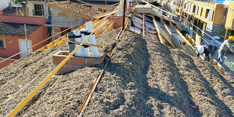 Baleares utiliza una planta marina como material de aislamiento en la construcción de viviendas