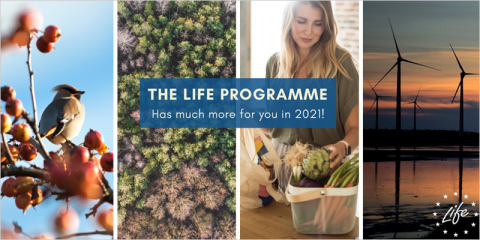 La Comisión Europea invierte 121 millones en proyectos LIFE de Medio Ambiente y Acción por el Clima